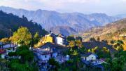 Top Pauri