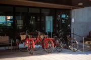 Top Phitsanulok