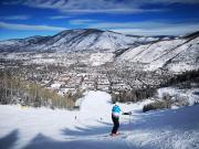 Top Aspen