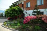 B&B Gatto Rosso
