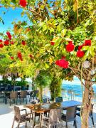 Top Varna City