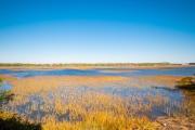 Top Oak Island Top Oak Island