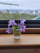 Apartman Kućazaodmor Дом для отдыха