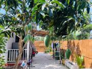 Top Phu Quoc