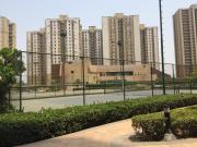 Top Noida