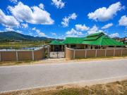 Top Ziro