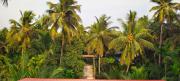 Top Diveagar