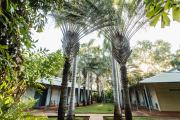 Top Kununurra