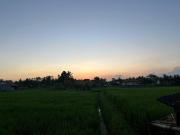 Top Ubud