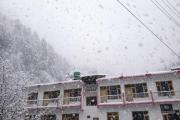 Top Barot