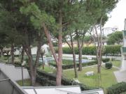 Top Lido delle Nazioni