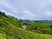 Top Munnar