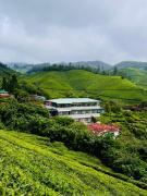 Top Munnar