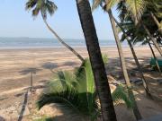 Top Murud