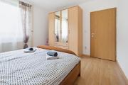 House Molnar