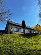 Top Rogów