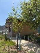 Top Shimla