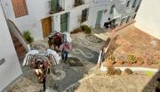Top Frigiliana