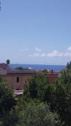 Top Anzio