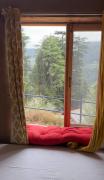 Top Shimla