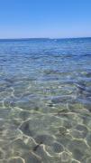 Top Arborea