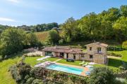 Top Todi