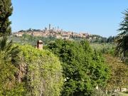 Top San Gimignano Top San Gimignano