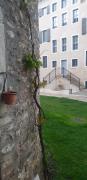 Top Rovereto