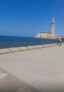 Top Casablanca Top Casablanca