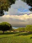 Top Novigrad Istria Top Novigrad Istria