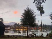 Top Palayangan