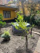 Top Huaraz