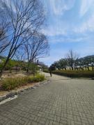 #프라이빗 정숙한 숙소 #명동 #경복궁 #서울역 #보문역 도보3분 #짐보관 #5박이상 조식