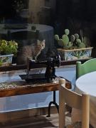 B&B Della Via Francigena