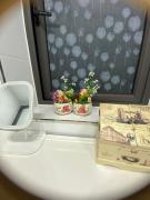 Homestay TTTP Hải Phòng