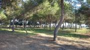 Masseria Monticchio