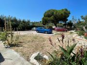 Top Vieste