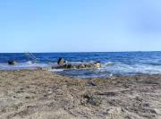 Top Novigrad Istria Top Novigrad Istria