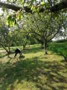 Top Saint-Jacques-dʼAmbur