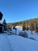 Top Lučany nad Nisou