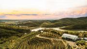 la Réserve by Duka Winery
