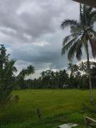 Top Praya Top Praya