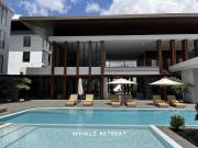 Whale Retreat Destination