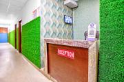 Top Greater Noida
