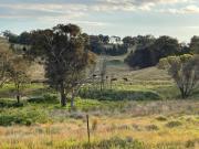 Top Coonabarabran
