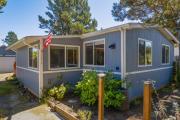 Top Grayland