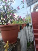 Top Cochin