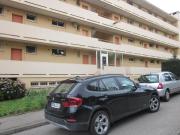 Top Limoges