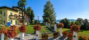 Top Arona