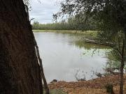 Top Dinokeng Game Reserve
